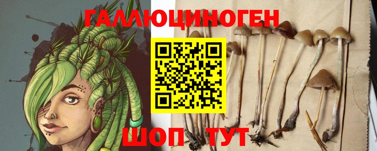 Аргун  Галлюциногенные грибы Magic Shrooms  Вход с VPN  Псилоцибиновые грибы Cubensis 