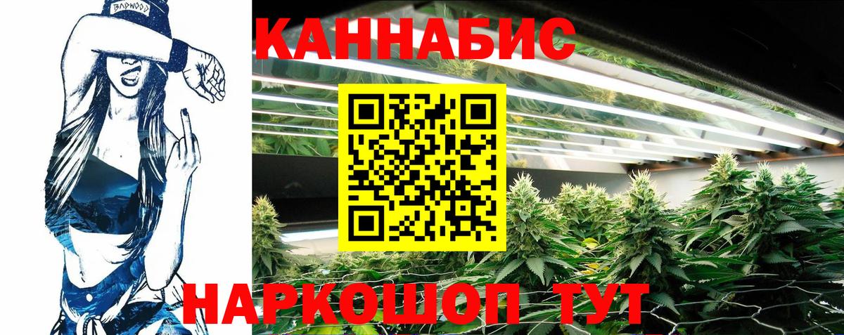 Аргун  Бошки марихуана планчик  Шишки марихуана SATIVA & INDICA  Марихуана MAZAR  Бошки марихуана план  Вход с VPN 
